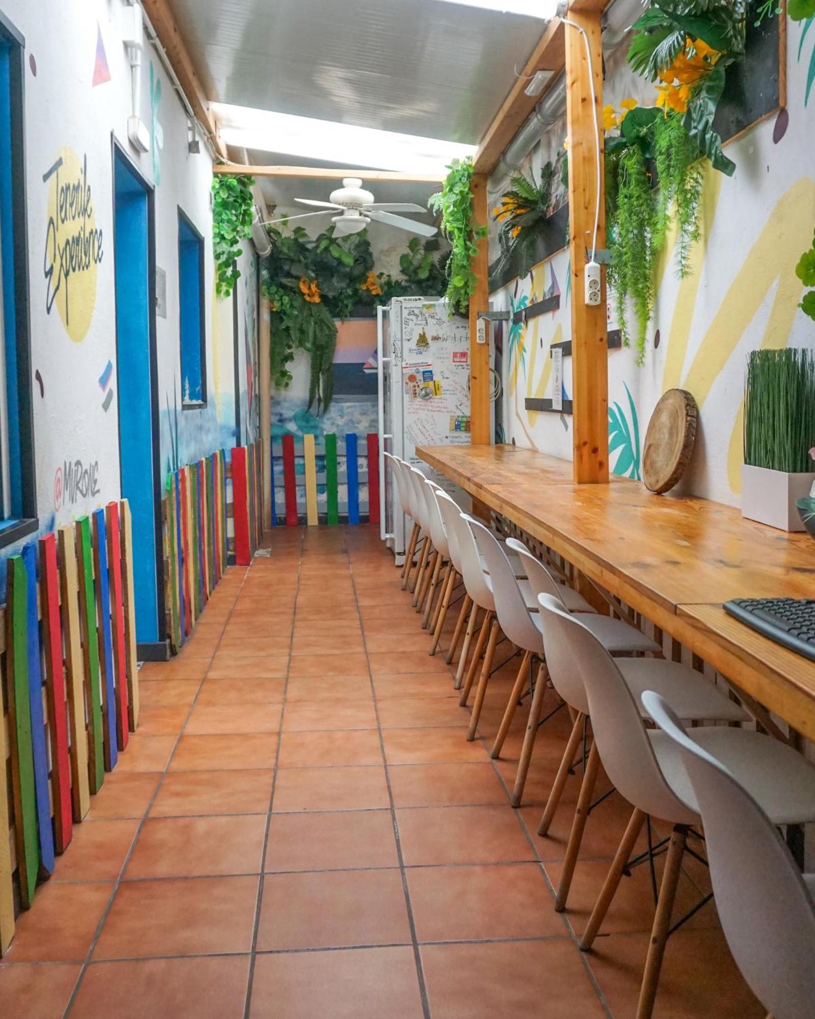Tenerife Experience Hostel Santa Cruz de Tenerife Zewnętrze zdjęcie